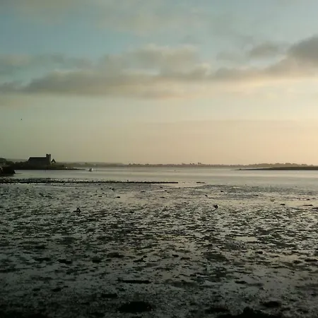 Sunny Dungarvan